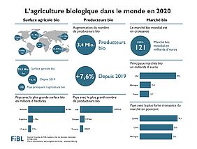 Infographique de l'agriculture biologique dans le monde en 2020