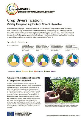 The DiverIMPACTS flyer