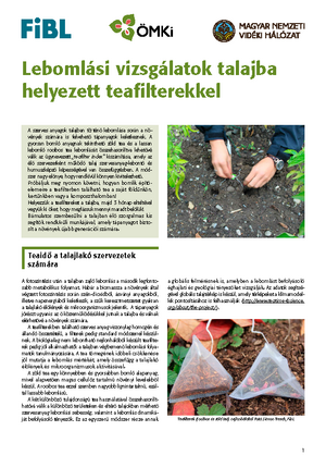 Lebomlási vizsgálatok talajba helyezett teafilterekkel