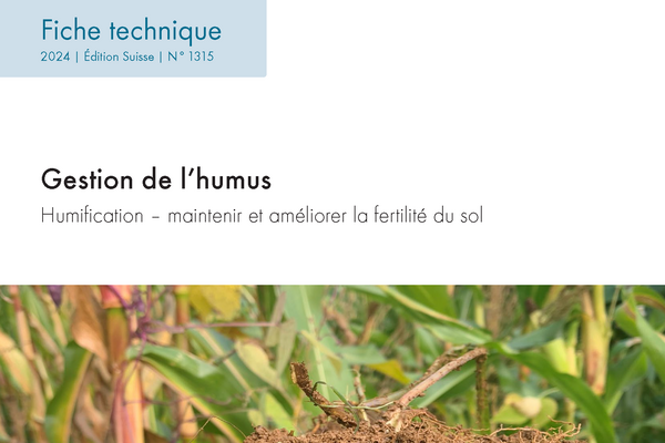 Cover: Gestion de l’humus