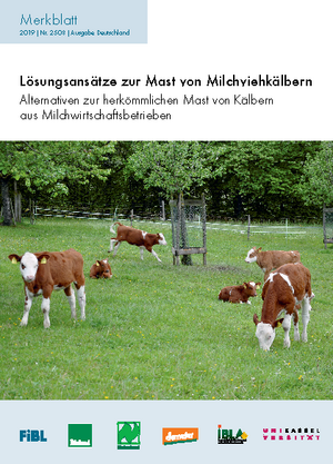 Lösungsansätze zur Mast von Milchviehkälbern