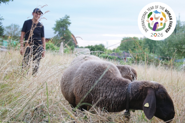 In the foreground of the picture, a sheep can be seen in a pasture. A woman can be seen in the background. The sky is light blue. In the upper right corner of the picture is the logo for the International Year of Women in Agriculture 2026.