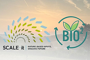 Logos of the projects.