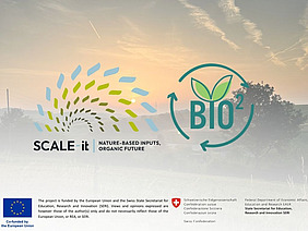 Logos of the projects.