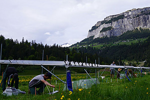 Vor einem Alpengipfel stehen Regendächer auf einer Wiese, darunter knien Personen und arbeiten am Boden. 