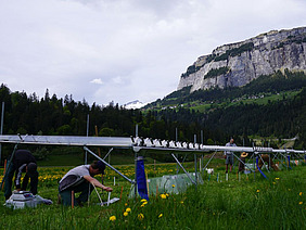 Vor einem Alpengipfel stehen Regendächer auf einer Wiese, darunter knien Personen und arbeiten am Boden.