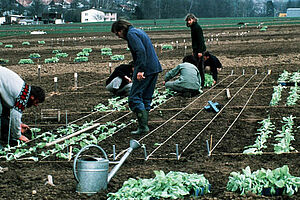 Chercheurs sur le terrain