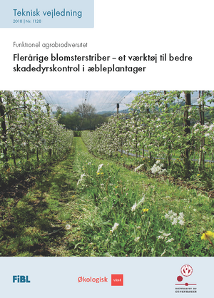 Flerårige blomsterstriber – et værktøj til bedre skadedyrskontrol i æbleplantager