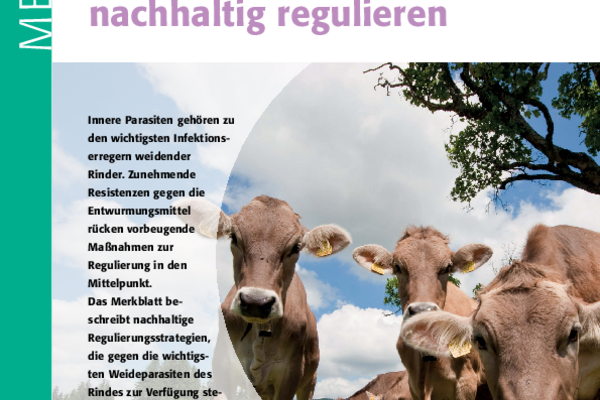 Cover Merkblatt Innere Parasiten der Rinder mit Weidemanagement nachhaltig regulieren