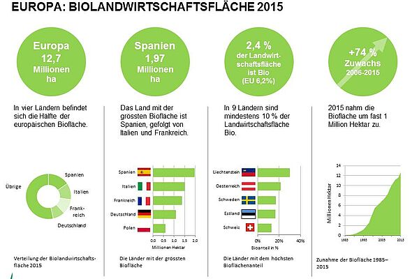 Grafik: Biolandwirtschaftsfläche 2015