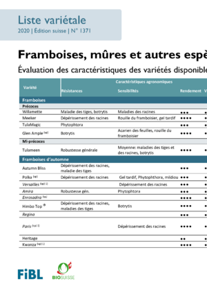 Liste variétale framboises, mûres et espèces de ronces