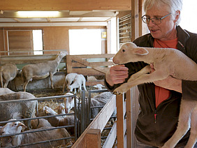 Mann im Stall mit Lamm auf dem Arm.