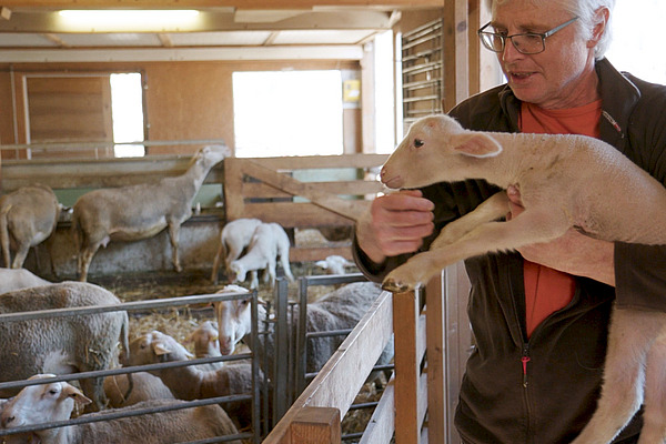 Mann im Stall mit Lamm auf dem Arm.