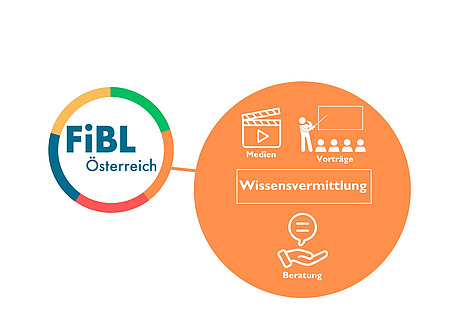 Grafik Wissensvermittlung