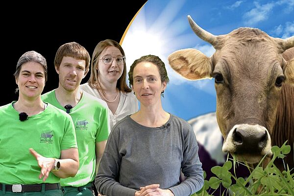 Vache, trois femmes et un homme qui regardent vers l'avant. 