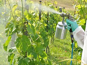 Einsatz von biologischen Pflanzenschutzmitteln im Weinbau