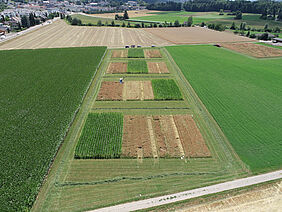 Aerial view on field experiment 8 during pea-barley harvest.