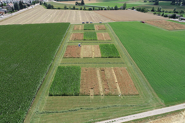 Aerial view on field experiment 8 during pea-barley harvest.