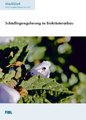 Schädlingsregulierung im Biokräuteranbau