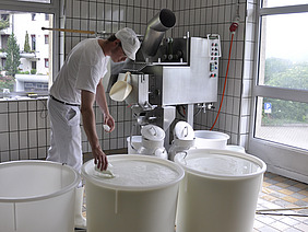 Käseherstellung in der Molkerei