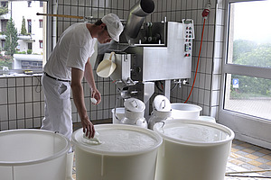 Käseherstellung in der Molkerei