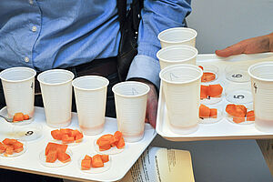 Two food trays for a tasting session