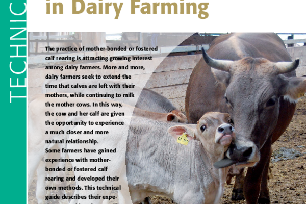 Cover: Technical guide on mother-bonded and fostered calf rearing in dairy farming