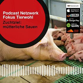 Netzwerk Fokus Tierwohl, Podcast-Folge 12.