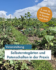 Ein Feld mit verschiedenen angebauten Pflanzen.