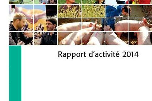 Rapport d’activités 2014