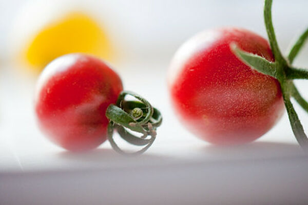 Tomaten