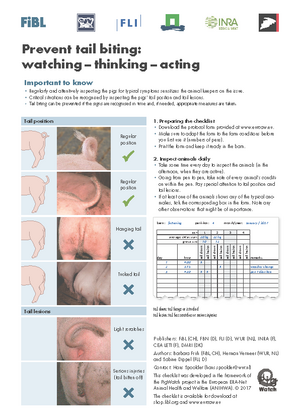 Prevent tail biting: watching – thinking – acting
