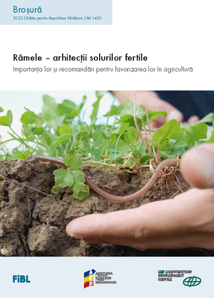 Râmele – arhitecții solurilor fertile