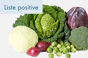 Différentes variétés de légumes.