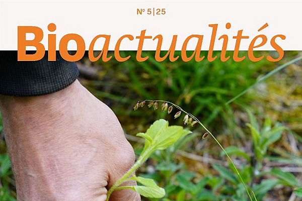 Page de titre du Bioactualités 5/25.