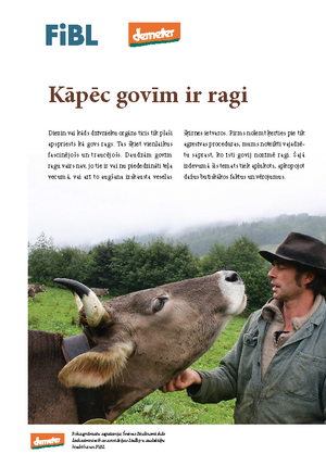 Kāpēc govīm ir ragi