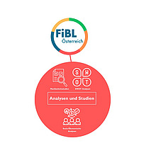 Grafik Analysen und Standards