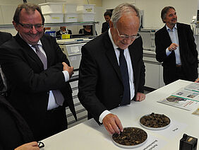 Man examines the structure of the soil aggregates in soil with reduced tillage.