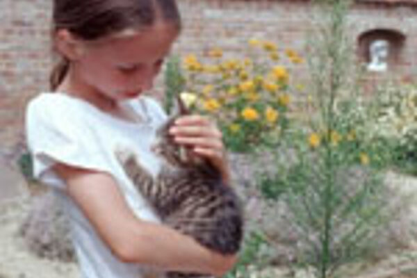 Kind mit Katze