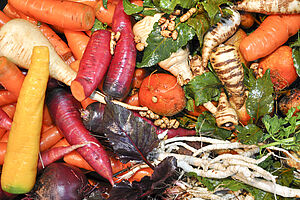 A pile of different kinds of vegetables