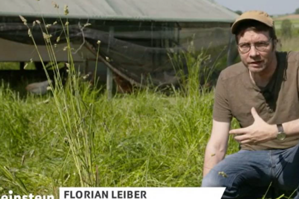 FiBL Forscher Florian Leiber rechts im Bild auf einer grünen Wiese, unten links das Einstein Logo.