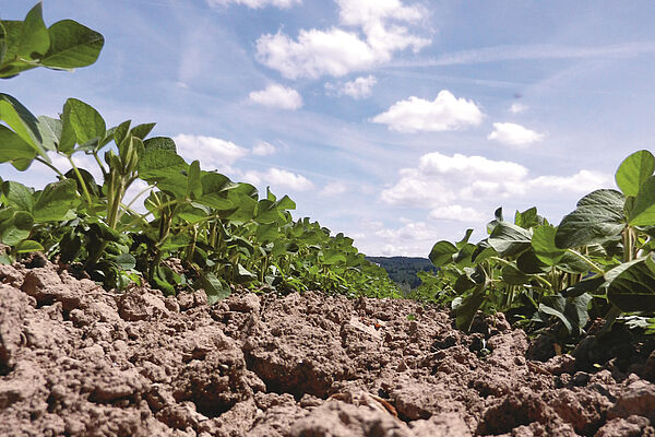 Soja et terres arables