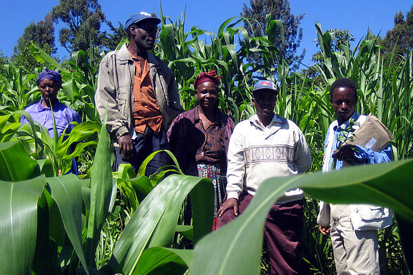 Kenianischen Bauerngruppe