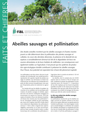 Abeilles sauvages et pollinisation