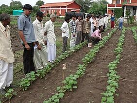 About a dozen men and one woman standing on a field.