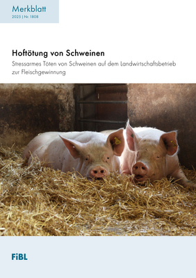 Cover: Hoftötung von Schweinen