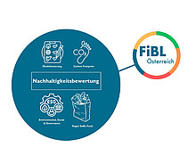 Grafik Nachhaltigkeitsbewertung