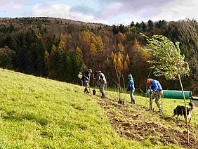 Vier Menschen und ein Hund auf einem Weidehang beim Bäume pflanzen.