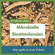 Im Hintergrund ist eine Mikroskop-Aufnahme in Orange von stäbchen- und kugelförmigen Mikroben zu sehen. Davor steht in einem weissen Kasten mit grüner Schrift: 5 Fakten über Mikrobielle Biostimulanzien.
