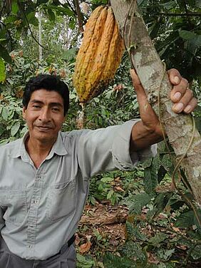 Cocoa farmer